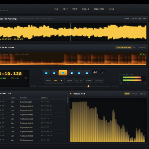 Lodestra EVP-1 Field Analyzer